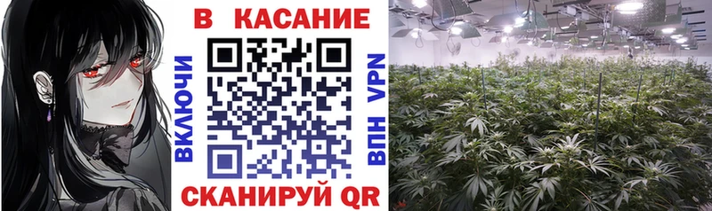 Какие есть наркотики Шебекино Каннабис Меф КОКАИН Гашиш