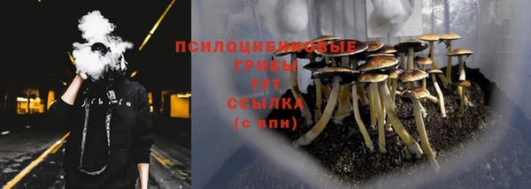 метадон Богородицк