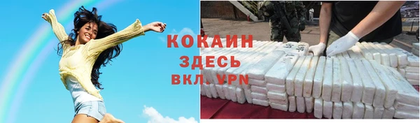 метадон Богородицк