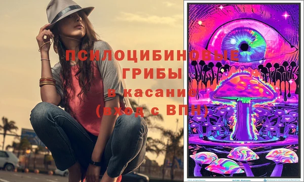 метадон Богородицк