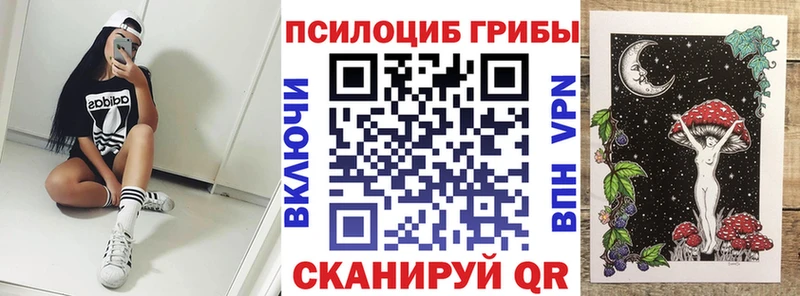 Галлюциногенные грибы Magic Shrooms  мориарти состав  Шебекино  продажа наркотиков 